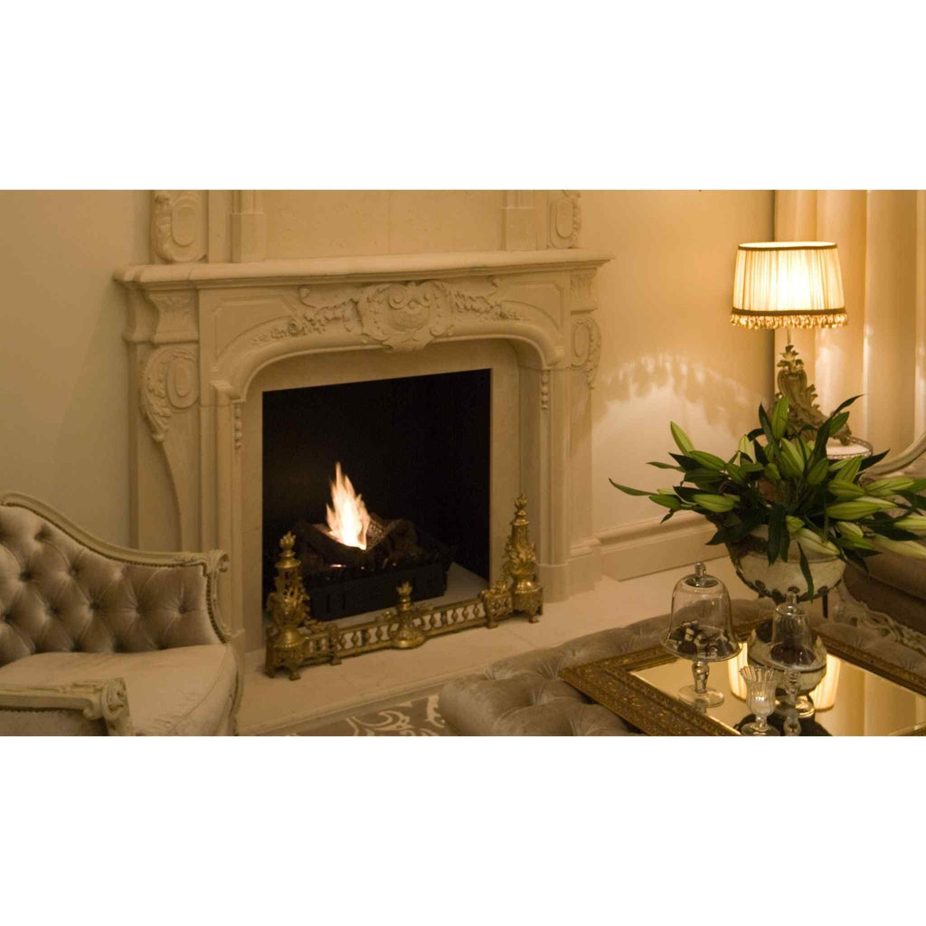 EcoSmart Fire BK5 Ethanol Burner